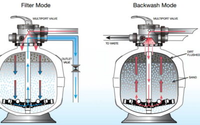 How Often Should You Replace Pool Filters?